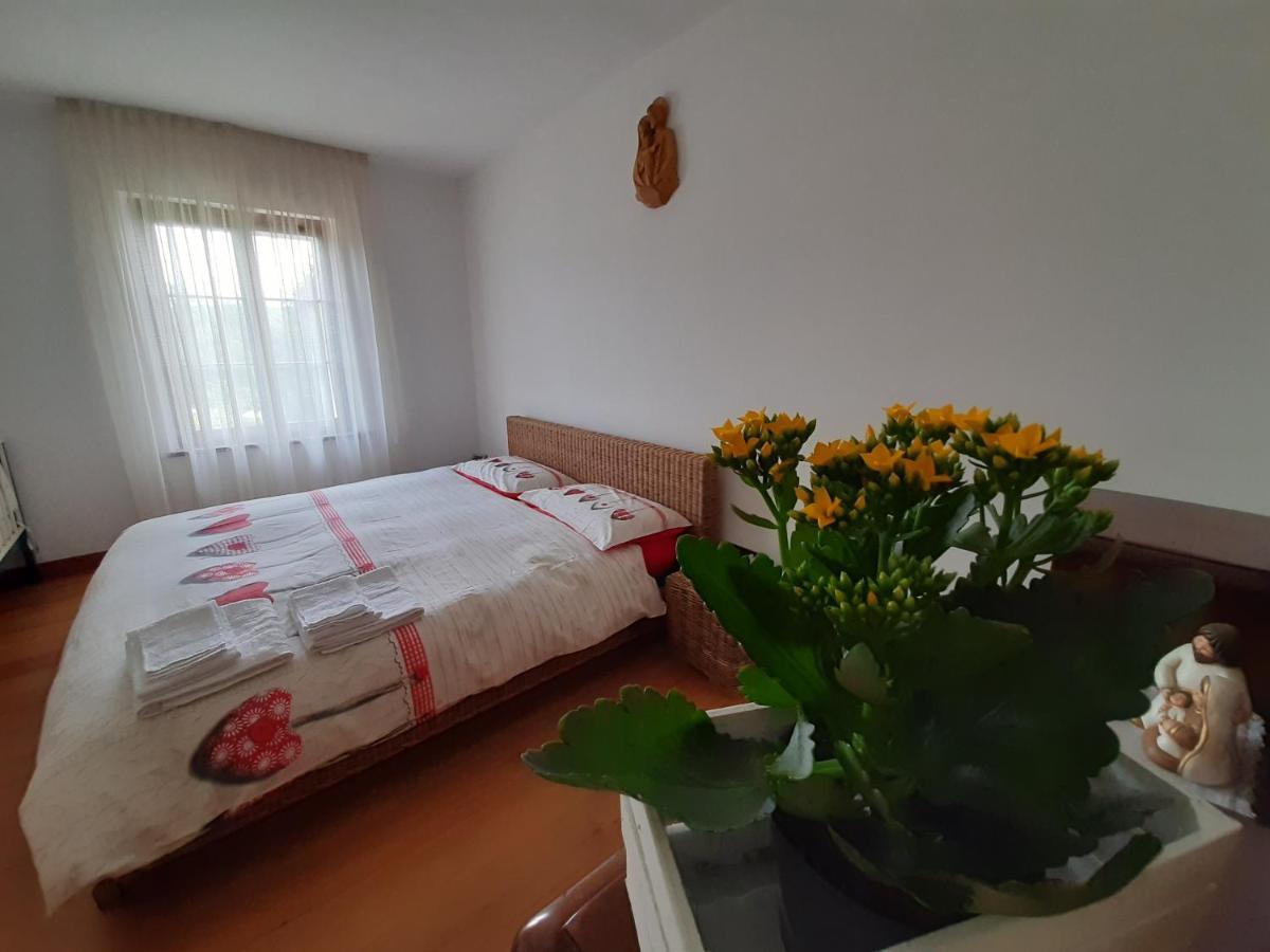 San Marcello Residence Feltre Eksteriør billede