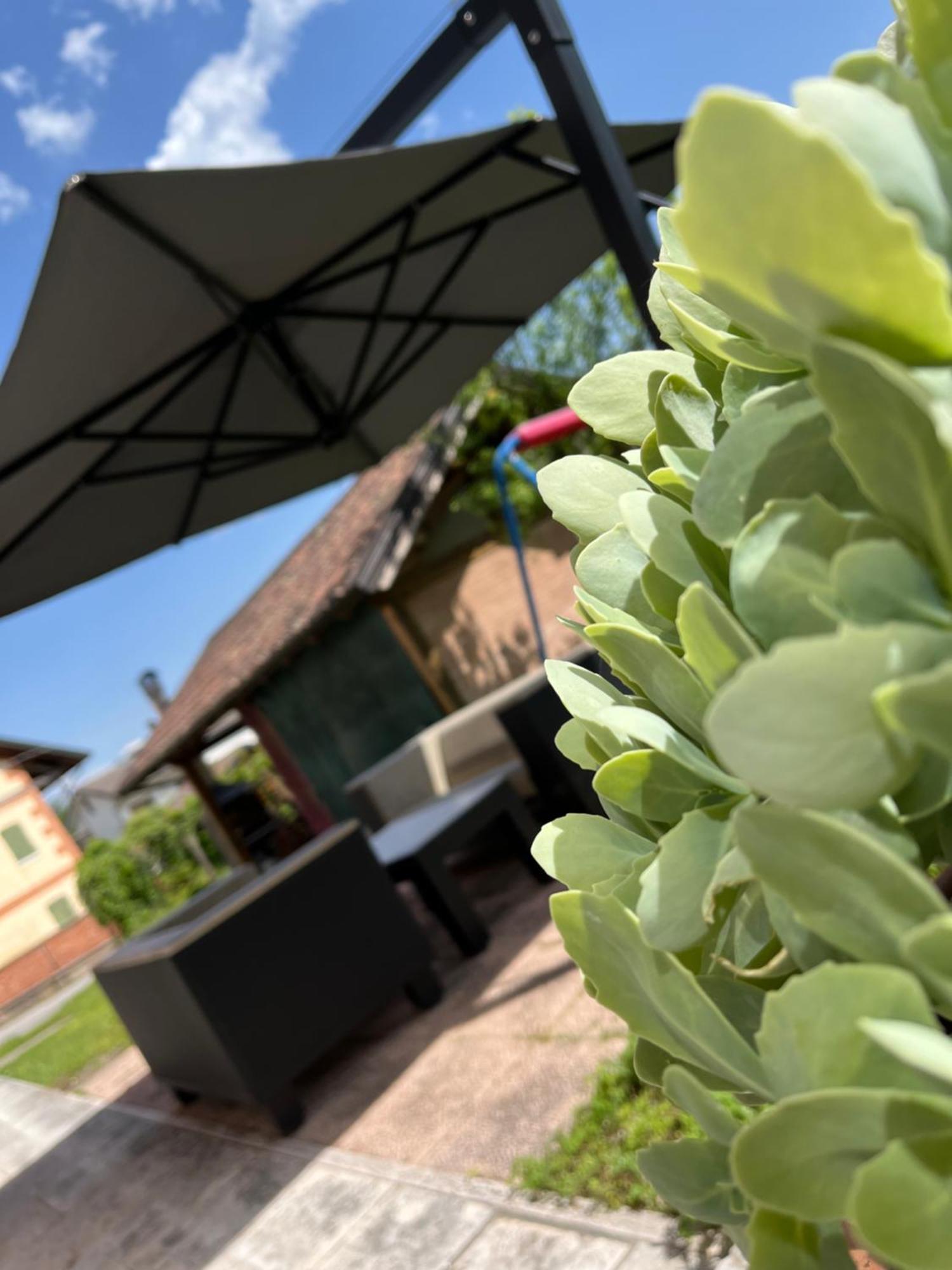 San Marcello Residence Feltre Eksteriør billede